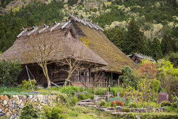 Stone path leads through garden in front of traditional Japanese thatched roof house in Kyoto mountains