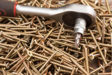 Screwdriver lying on a pile of screws.