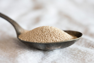 Instant Yeast on a Vintage Spoon