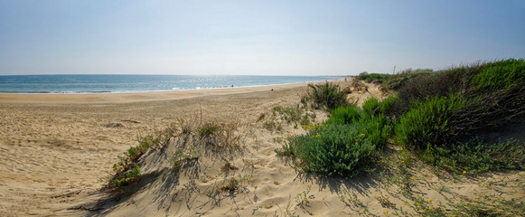 The sandy landscape of Marismas del Odiel National Park in Andalusia, Spain