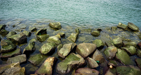 green rocks in munambam beach ernakulam background wallpaper