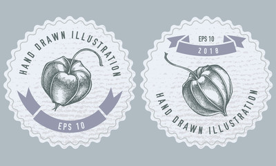 Monochrome labes with physalis illustration