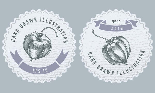 Monochrome labes with physalis illustration