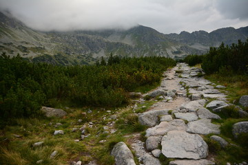 kamienna ścieżka w górach