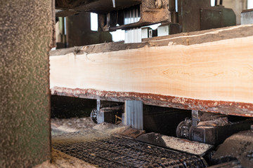 Industrial sawing machine cutting tree trunk into planks for construction industry and carpentry. Process of sharp saw blade going through wood material. Saw dust flying.