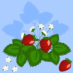 Strawberry bush on a blue background