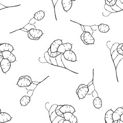 Seamless pattern with black and white lunaria