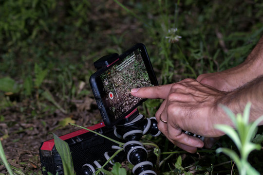Adult white male hands taking a picture with a smartphone in the nature at night time using a tripod.