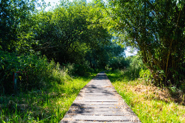 Fototapeta premium A tour past the Dunger lake