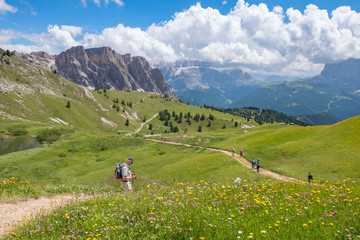 Fototapeta na wymiar Flowering meadow with hikers in a beautiful alpine landscape