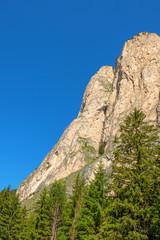 Fototapeta na wymiar Steep cliff wall at a forest