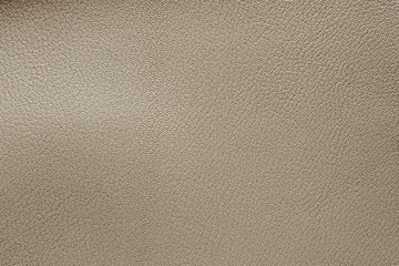 Close up of cowhide texture