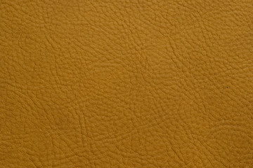 Close up of cowhide texture