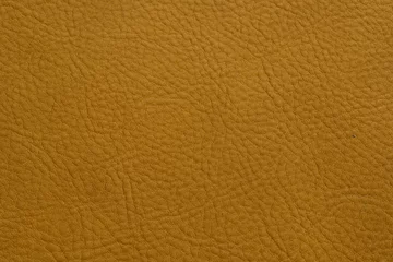 Fotobehang Close up of cowhide texture © An artisan