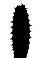 Black Cactus silhouette in the white  background