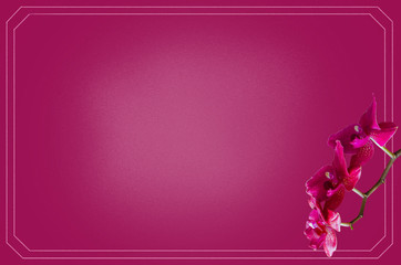 Postcard with orchid on red background. Greeting card design. Invitation concept with place for text