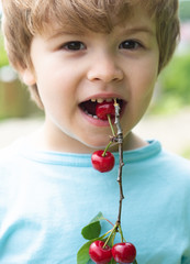 Summer harvest. Cherries. The child eats cherries. Vitamins. Summer in the garden. Vertical photo....