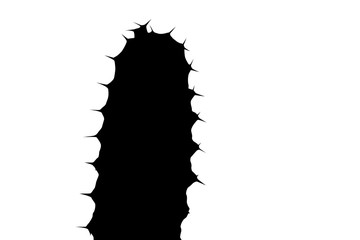 Black Cactus silhouette in the white  background