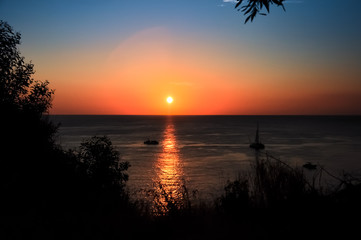 Fototapeta na wymiar Silhouette tree with sea sunset background.