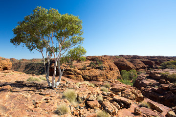 Kings Canyon Rock Formation