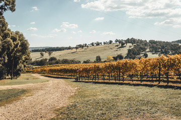 Tumbarumba, New South Wales - APRIL 20th, 2019: Scenic Australian countryside at Courabyra Winery in the Snowy Mountains Region.