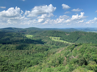 Fototapeta na wymiar Ein Blick in den Thüringer Wald