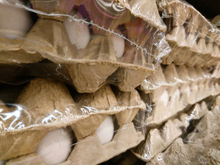 Top grade white eggs packed in boxes for healthy cooking.