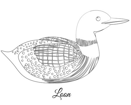 Loon bird coloring. Vector image