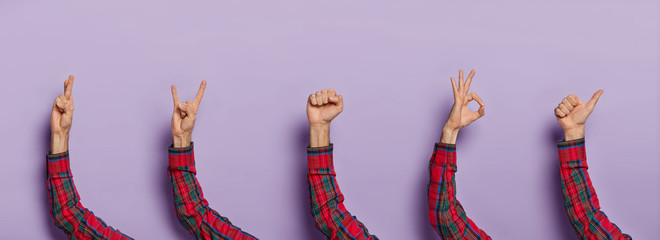 Body parts. Human hands showing different gestures crossed fingers, rock n roll sign, clenched...