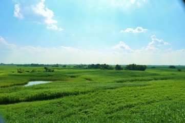風景　爽やか　渡良瀬　空　湖　道　杤木