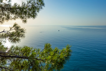 Pacified seascape in early morning, fishing boat can be seen in distance. In foreground is pine green branches. Aerial horizontal color photography.
