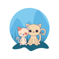 cute cats animals isolated icon