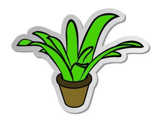 Vector illustration, sticker of green plant in pot in flat cartoon style isolated on white background