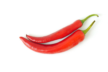 Red paprika pepper isolated on white background