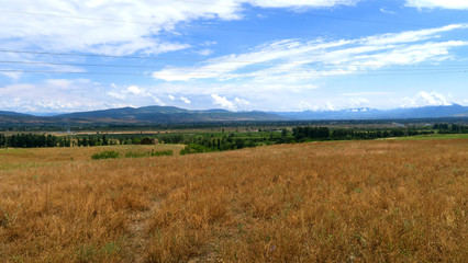 Fototapeta premium wonderful nature of Georgia in all its glory