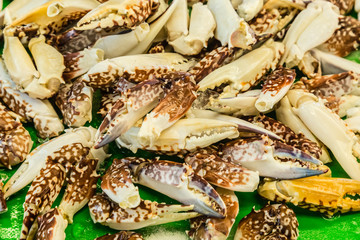 fresh crab Chelate on sale in seafood market background