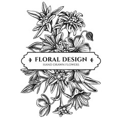 Floral bouquet design with black and white edelweiss, meadow geranium, gentiana