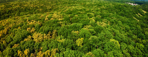 Panoramic aerial view on  colorful green forest near Samara city, Russia