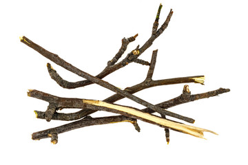 Dry tree twigs branches isolated on white background. close-up