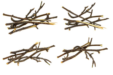 Dry tree twigs branches isolated on white background. close-up