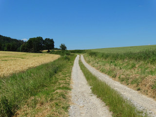 Fototapeta na wymiar Feldweg - Radweg - Wanderweg 