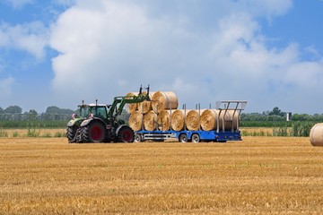 Agricultural scene, tractor loads the bales of hay on the trailer.