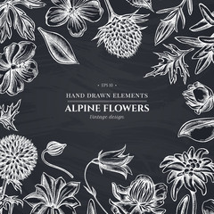 Floral design with chalk bellflower, edelweiss, globethistle, globeflower, meadow geranium, gentiana