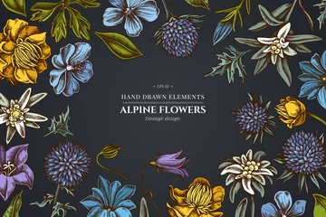 Möbelaufkleber Floral design on dark background with bellflower, edelweiss, globethistle, globeflower, meadow geranium, gentiana © Sad