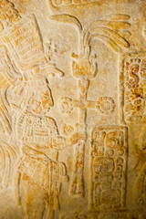 Fototapeta na wymiar Stone carvings at Yaxchilán; Chiapas, Mexico