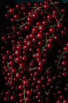 red currents