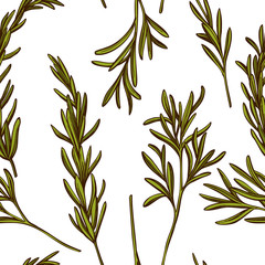 Seamless pattern with hand drawn colored rosemary