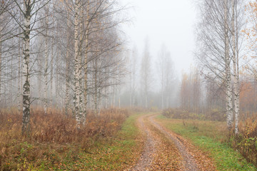 Obraz na płótnie Canvas Dirt road winding through foggy autumn landscape.