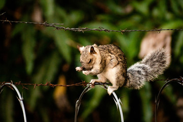 Nothing to do around here