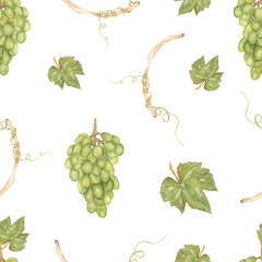  Beautiful watercolor hand drawn seamless green and yellow pattern with grapes branches and leaves.  Isolated on white background.Perfect for your design.Harvest sweet time.